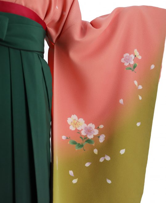 卒業式袴レンタルNo.534[シンプル]サーモンピンク×黄緑グラデ・桜
